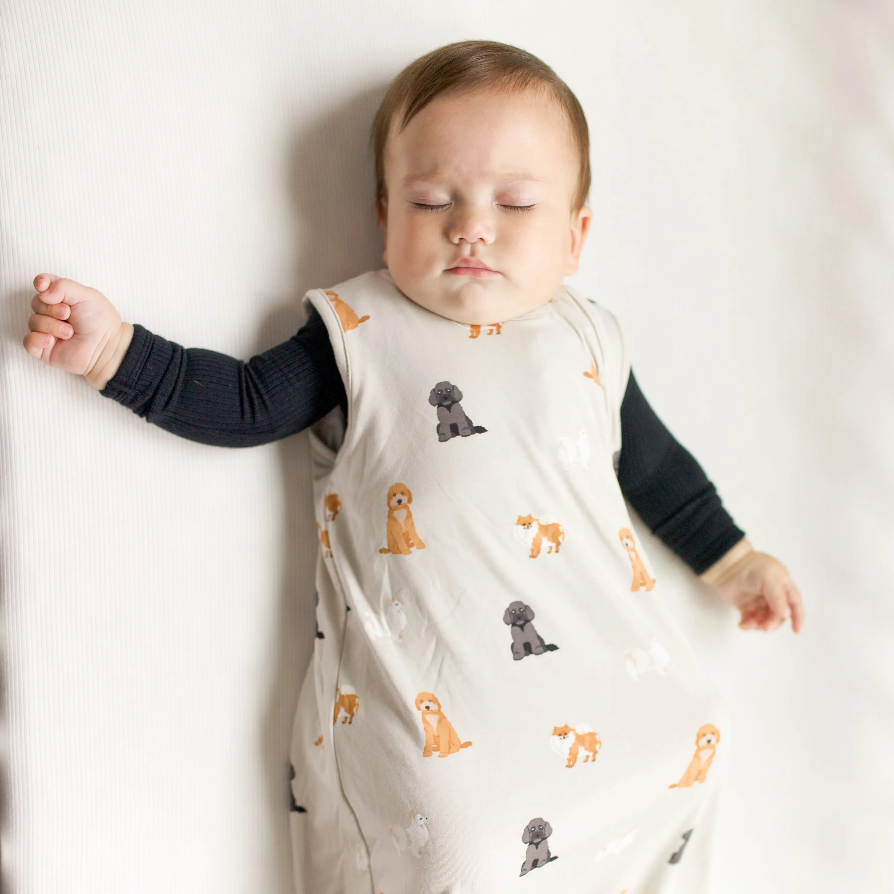 Sleep Bag in Fluffy Dog 0.5