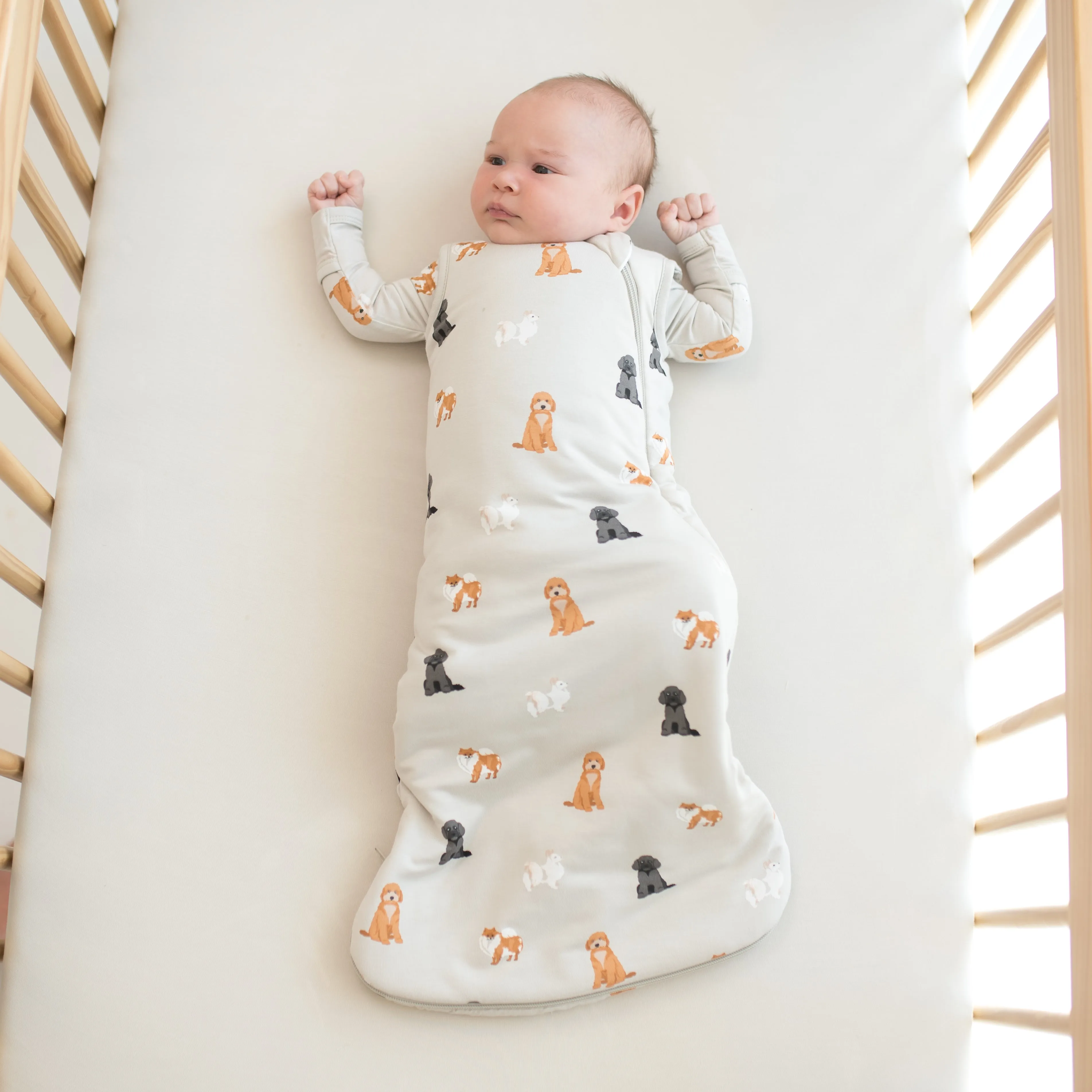 Sleep Bag in Fluffy Dog 1.0