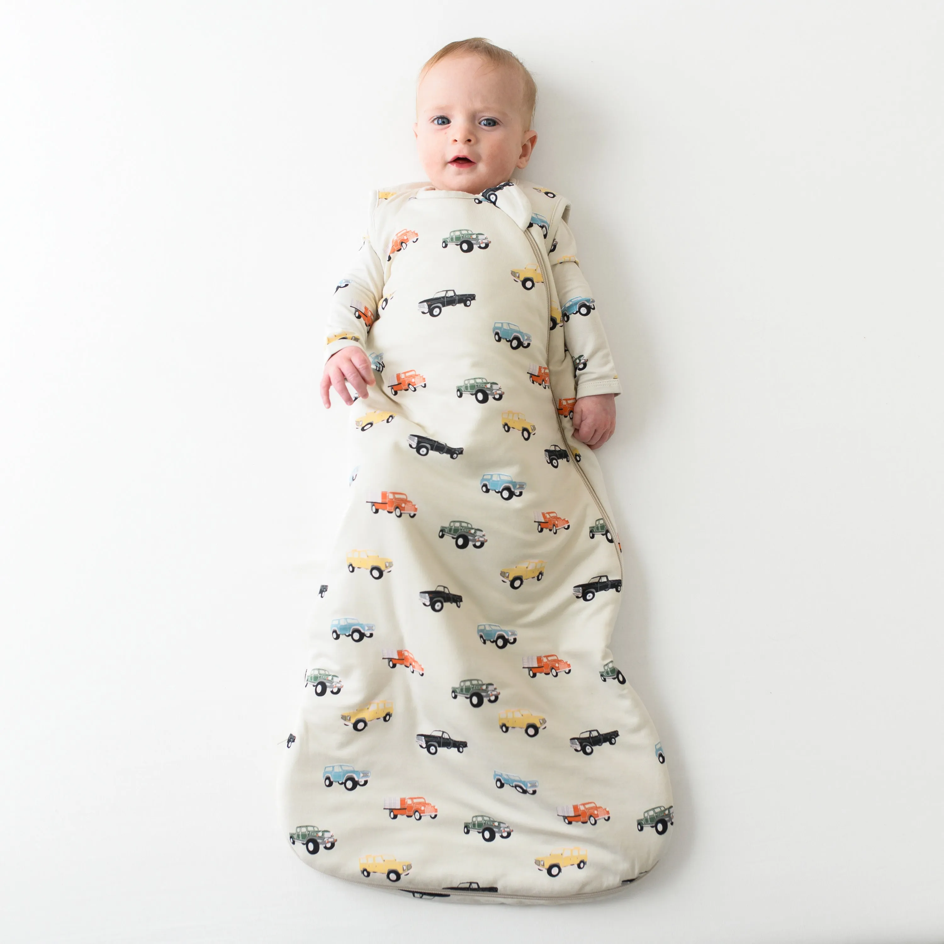 Sleep Bag in Vintage Truck 1.0